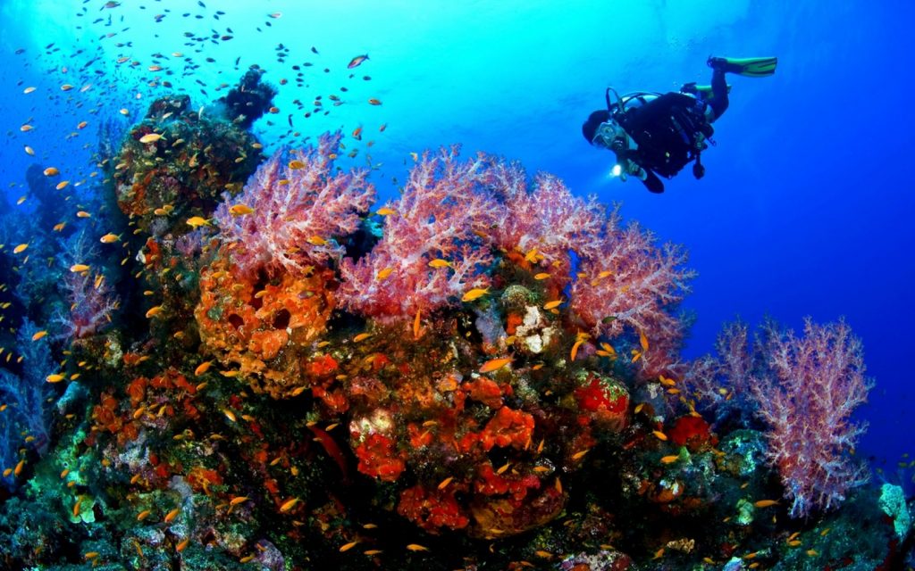kish diving BG Large