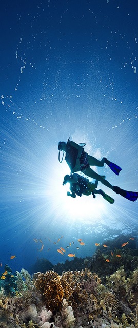 New Divers Courses Scuba Diving Adventures Sandals